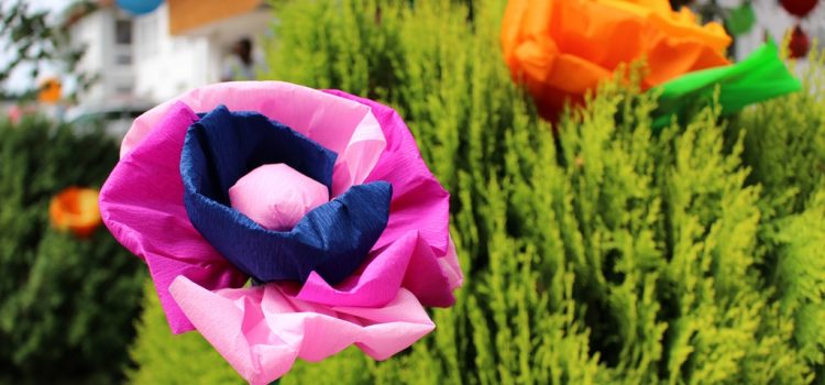 Sommerfest im Haus St. Elisabeth – ABGESAGT! Sommerfest im Haus St. Elisabeth – ABGESAGT!