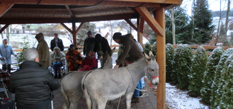 Besuch vom Weihnachtsesel Besuch vom Weihnachtsesel